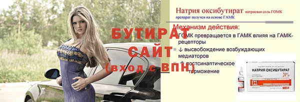 сатива Покачи