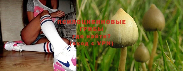 не бодяженный Покров