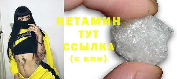 сатива Покачи