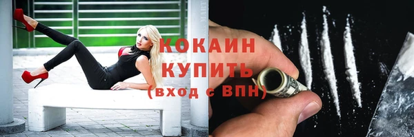 сатива Покачи