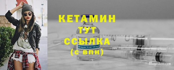 сатива Покачи
