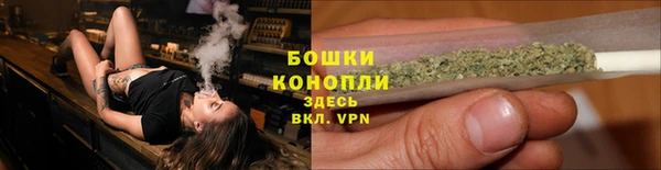 сатива Покачи