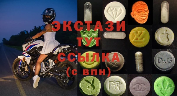 ECSTASY Богородицк