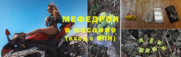 сатива Покачи